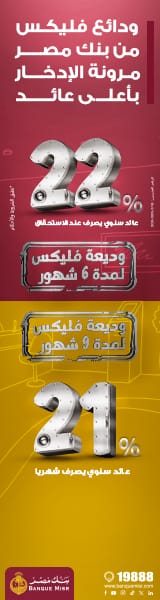 misr bank vertical